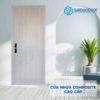 COMPOSITE PLASTIC DOORS B01-91 3 Cửa nhựa Composite B01-91