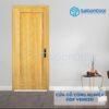 Cửa Gỗ Công Nghiệp HDF Veneer 1B-Soi 3 Cửa gỗ công nghiệp HDF Veneer 1B-Soi