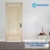 Cửa Gỗ Công Nghiệp HDF Veneer 1B ash 3 Cửa gỗ công nghiệp HDF Veneer 1B ash